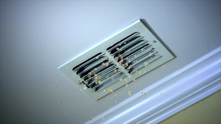 Best Affordable Air Duct Cleaning  in Green Cove Springs, FL